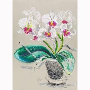 Orchid Painting White Floral Original Wall Art Flower Oil Pastel Artwork 12x8'' by NatalyMak