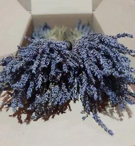 Greek Dried Lavender Bunch 3000 stems 300*22 Bunches 30-32cm Organic Harvest 23