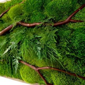 40" x 18" Artisan Moss? - Red Branch - Real Preserved Plants in Wood Frame Plant Painting? - No Care Green Moss Wall Art.