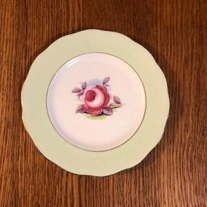6 1/4" Royal Albert Painters Rose Bread and Butter Plate 40's Floral Cabbage Rose Vintage Plate