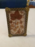 Vintage Framed Dried Four Leaf CLOVERS In ORNATE METAL STANDING FRAME 6.75x4.5"