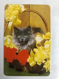 Kitten Cat & Carnation Flowers Ribbons Vintage Rare 70s Kids Newsagent Swap Card