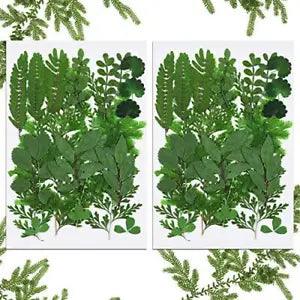42PCS Dried Pressed Leaves Dried Flowers for Resin Real Assorted Dried Greenery
