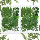 42PCS Dried Pressed Leaves Dried Flowers for Resin Real Assorted Dried Greenery