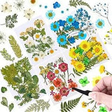 Dried Flowers for Resin Molds102Pcs Natural Dried Pressed Flowers Leaves Bulk...