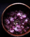 Salted Cherry Blossom Tea (exPress-o) Flower Delivery