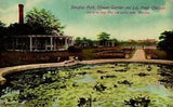 Postcard Douglas Park, flower garden and lily pond Chicago, Illinois