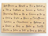Great Impressions Rubber Stamp Flower Names Text Background Tulip Daffodil Lily