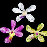 3 Orchid Flowers White Purple Or Green Artificial Fake Flowers Silk Flowers Millinery Flower Arrangement Bouquet Wreath