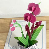Orchid Card , 3D , Pop Up , Gold Foil , Flower , Display , Gift , Last Forever , Pink , Plant