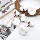 6Pcs Artificial Head Natural Dried Flower Wedding Room Decoration