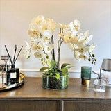 VERSAILLE PARIS - Floral Orchids arrangement with SILK flowers in cylinder glass - White orchid - 20x10cm - Christmas Days - Gift