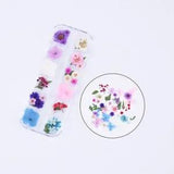 49PCS Real Pressed Dry Mixed flowers leaves collection as picture FCD504 #11