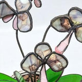 Moth Orchid Stained Glass Handmade Plant | Original Design | Large Size | New