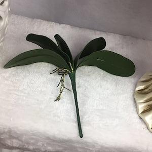 3 pcs 1pcs real touch phalaenopsis leaf artificial plant leaf decorative flowers auxiliary material flower decoration Orchid leaves