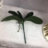3 pcs 1pcs real touch phalaenopsis leaf artificial plant leaf decorative flowers auxiliary material flower decoration Orchid leaves