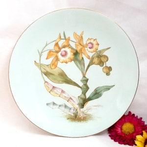 E.J.D. Bodley Botanical Orchid Plate Aesthetic Movement Antique Circa 1875