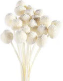 Dried Yellow Billy Balls Flowers 20pcs Natural Retro Style Wedding Decor Vase