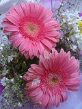 Two of one kind Flower Delivery
