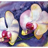 Original painting Orchid Flower Art Phalaenopsis Original art Watercolor Plants Painting 8x10" 19x25 cm from NikArtGift