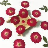 Rose Natural Decorative Pressed Dried Flower for DIY Candle Making Supplies...