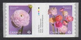 GUTTER pair = RANUNCULUS - PERSIAN BUTTERCUP = Canada 2023 MNH