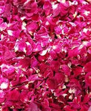 Dried Roses Mix, Dried Rose Petals,  Biodegradable Confetti DIY Pack of 3 Roses
