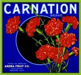 Carnation Flower Brand Orange Anaheim CA Citrus Fruit Crate Label Art Print