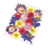 Real Dried Pressed Flowers Leaves for Candle Soap Handcrafts