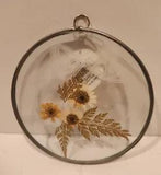 Vtg Pressed Dried Flower Daisy Art Pewter Frame Glass 5in  Ribbon Detail- As Is
