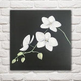 White Orchid Painting Orchids Wall art Black canvas Original Floral Wall decor Orchids White and Black paintings Shelf decor