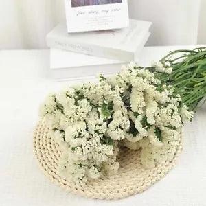 Dried Flowers Forget Me Not with Stems Natural Dried Flowers Sea Lavender