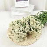 Dried Flowers Forget Me Not with Stems Natural Dried Flowers Sea Lavender