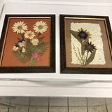 Wyoming Real Dried Pressed Flowers Foliage  signed ~ Frames (2)
