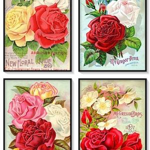 Roses Vintage Seed Catalogue Covers Set of 4 Art Prints Shabby Chic Rose Decor