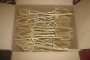 DRIED MICHIGAN TEASELS FOR FLORAL DISPLAYS CRAFT IDEAS BOX of 50 STEMS 12" LONG
