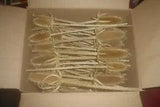 DRIED MICHIGAN TEASELS FOR FLORAL DISPLAYS CRAFT IDEAS BOX of 50 STEMS 12" LONG