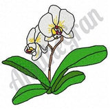 White Moth Orchid Embroidery Design. Machine Embroidery Design. Orchid Embroidery Pattern. Floral Pattern. White Flower Embroidery Pattern