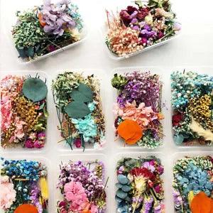 1 Box Bulk Mixed Dried Flowers DIY Epoxy Resin Filling Aromatherapy Home Arts US