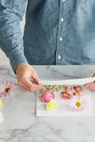 How to Make Pretty Pressed Flowers and Preserve Your Favorite Blooms Flower Delivery