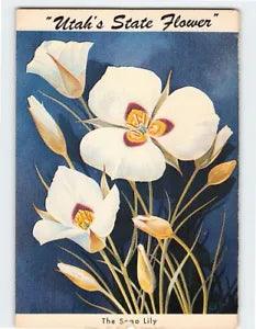 Postcard The Sego Lily, "Utah's State Flower", Utah