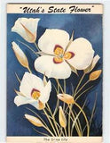 Postcard The Sego Lily, "Utah's State Flower", Utah