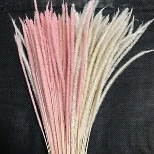 Dried Eternelle Hypericum Japonicum Branch - Small Pampas Grass Home Decoration