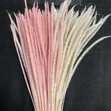Dried Eternelle Hypericum Japonicum Branch - Small Pampas Grass Home Decoration