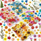 Real Dried Pressed Flowers for Resin, Natural Dry Flowers Leaves Bulk Herbs Kit