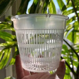 Clear Slotted Net Pot | Sturdy | Heavy Duty | High Quality | Drainage | Orchid Pot | Healthy Roots | 4 Inch | 5 Inch | Soil or Semi-Hydro