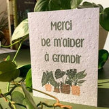 Mother's Day plantable card, greeting card, zero waste gift, thank you for helping me grow, happy Mother's Day, plantable card