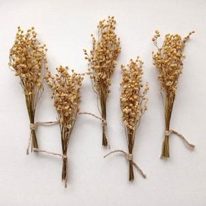 Dried lilies of the valley bouquet, Beige mini flowers, Tiny convallaria majalis, Real natural dried flower for wedding