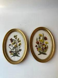 Set of 2 Vintage Framed Pressed Flowers 6" tall Oval Frames