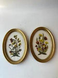 Set of 2 Vintage Framed Pressed Flowers 6" tall Oval Frames